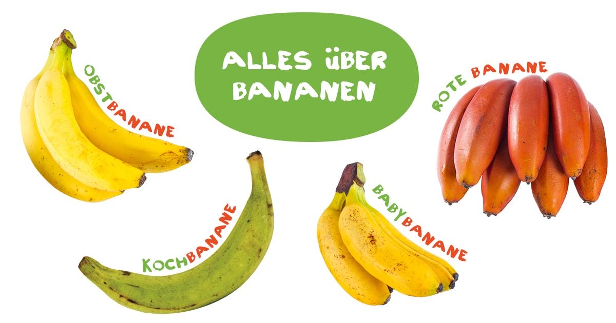 Alles über Bananen