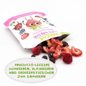 Freche Freunde Fruchtchips Roter Beerenmix