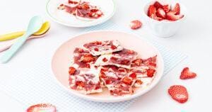 Frozen Joghurt Riegel mit Fruchtchips Erdbeere - gesunde Snacks für Kinder