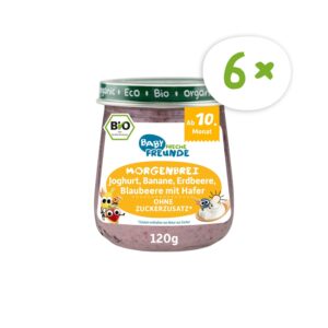 Glaeschen-Morgenbrei_Joghurt_Banane_Erdbeere_Blaubeere_Hafer-120g-vorderansicht