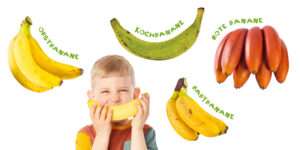 "Warum ist die Banane krumm?" 4 genannte Bananensorten und ein Junge mit einer Obstbanane vor dem Mund.
