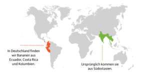 "Warum ist die Banane krumm?" Auf der Weltkarte sind die Länder eingezeichnet, wo sie herkommen.