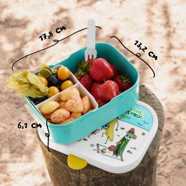 Die geöffnete Freche-Freunde-Brotdose. Darin leckere Snacks wie Erdbeeren, Physalis und knusprige Freche-Freunde-Kringel, ordentlich getrennt im Bento-Einsatz. Die Maße der Dose sind liebevoll handschriftlich eingezeichnet: 17,8 cm lang, 13,2 cm breit, 6,1 cm hoch