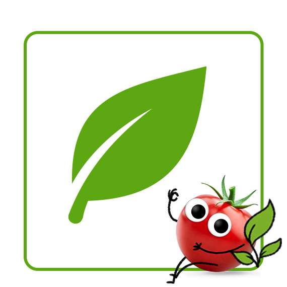 Tom Tomate neben dem "Vegan-Blatt" findet vegan toll.