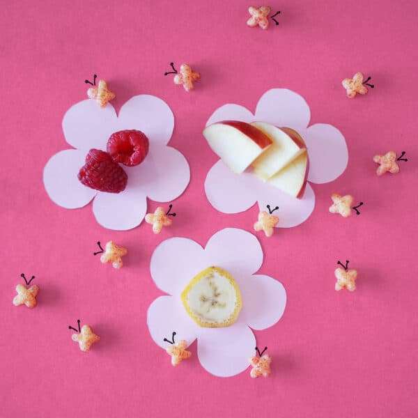 freche-freunde-Mini-Knusper-Schmetterlinge-Banane-Apfel-Himbeere-mood