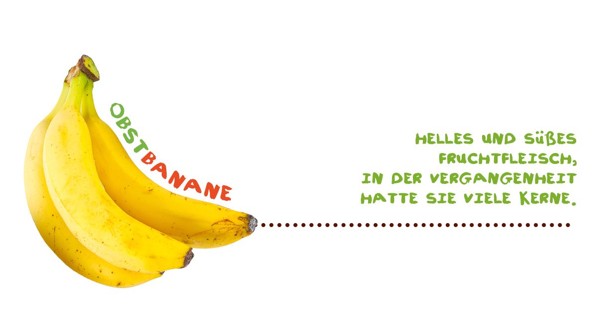 Alles über Bananen - Obstbanane
